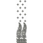 Bold Cotton Thread Embroidery Design 21252