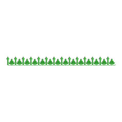 Green Leafy Arrow Border Embroidery Design