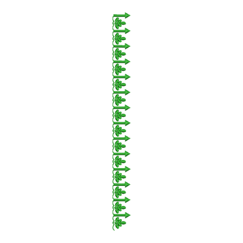 Green Leafy Arrow Border Embroidery Design