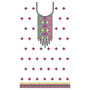 Northern India Traditional Dress Embroidery Design