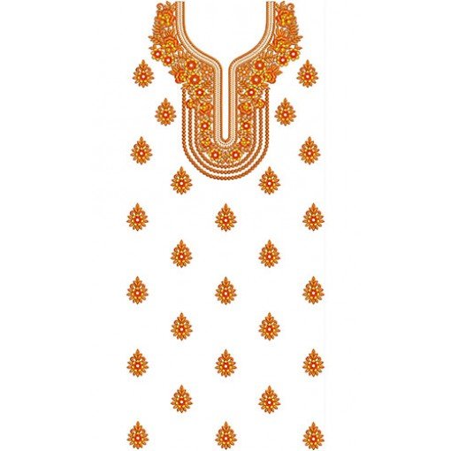 Special Punjabi Suit Designs 21179