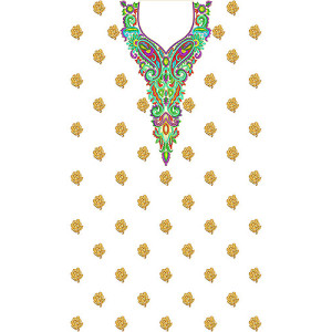 Pakistani Dress Embroidery Designs 5688