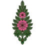 Kali Embroidery Design 12802