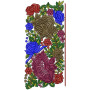 Lace Embroidery Design 13201