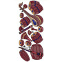 Beautiful Instrument Lace Border Embroidery Design 23769