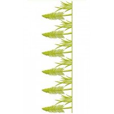Grass And Crop Lace Border Design 23953