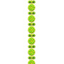 SareeLace Embroidery Pattern