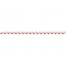 Border Curve Design