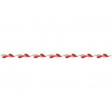 Saree Border Embroidery Pattern