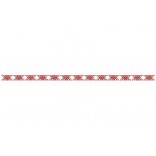 Traditional Folk Red Embroidery