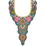 Pakistani Designer Salwar Kameez Neck