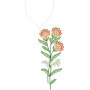 Flower Neck Embroidery Designs