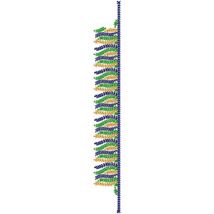 9124 Saree Embroidery Design